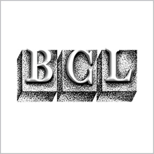 Bolan Castings Limited